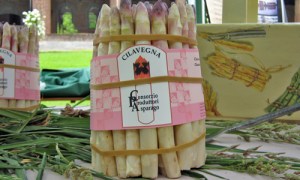 Cilavegna asparagi2