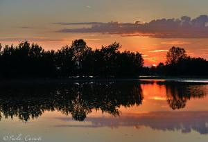 Tramonto dalle risaie di Sannazzaro de' Burgondi: stupenda foto di Paola Cariati