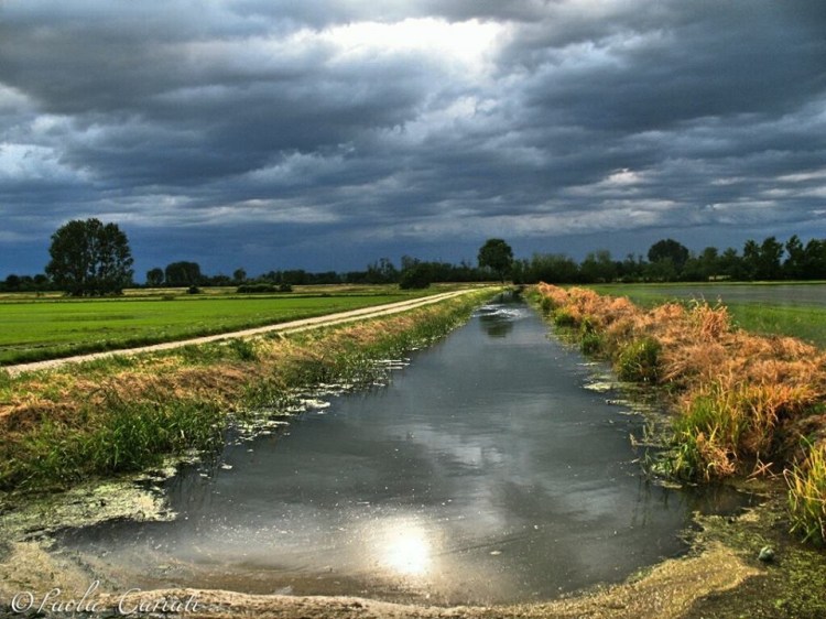 Canale