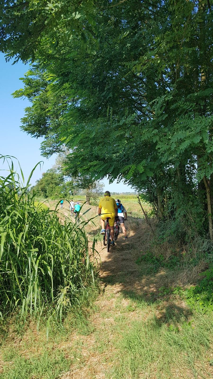 Via delle Gallie (2)